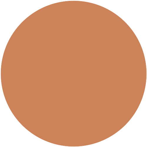 Orange 301