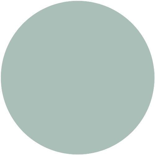 Caparol Patina 55