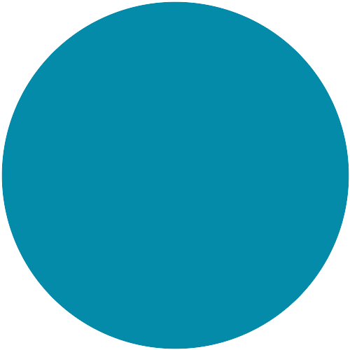 Farbton R0.48.46 (5051)