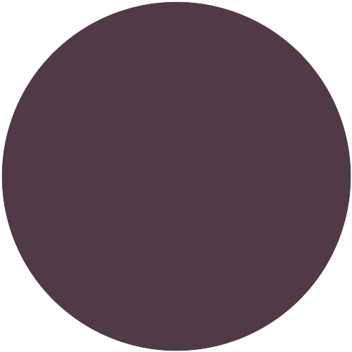 RAL 4007 Purpurviolett