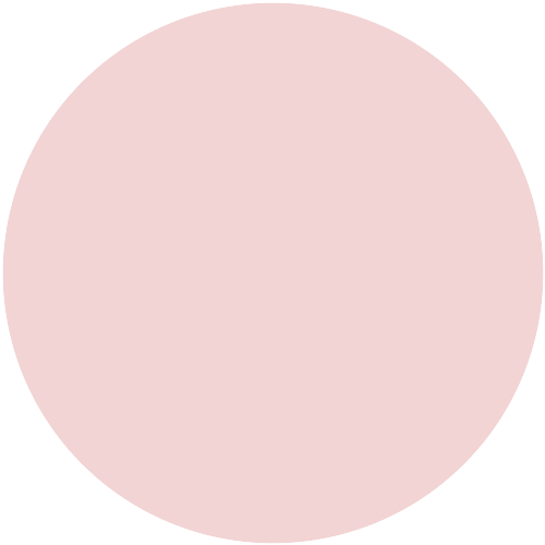 Brillux Rose 3013 ST.8