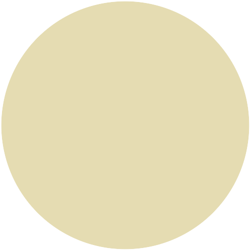 S1015-G90Y