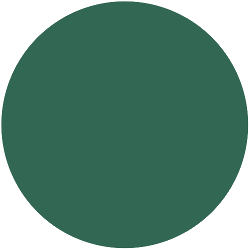 Brillux Schilf 6005 ST.2