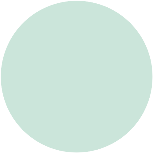 Brillux Schilf 6005 ST.9