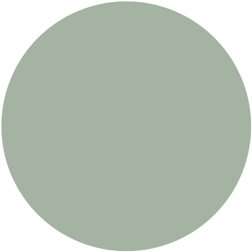 Tanne 364