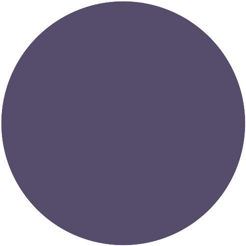 Farbton Violet 36.016