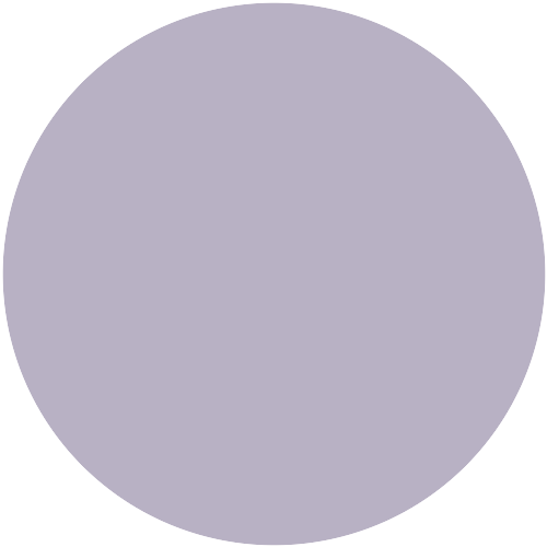 Farbton Violet 38.017