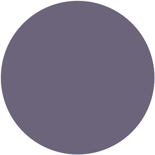 Farbton Violet 41.017