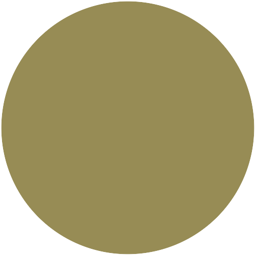 Y06 60 31