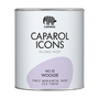 Caparol Icons - Finest Wood & Metal Paint - Silk Finish