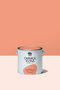 Caparol Icons - Finest Wall Paint - Matt Finish
