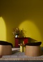 Caparol Icons - Finest Wall Paint - Matt Finish